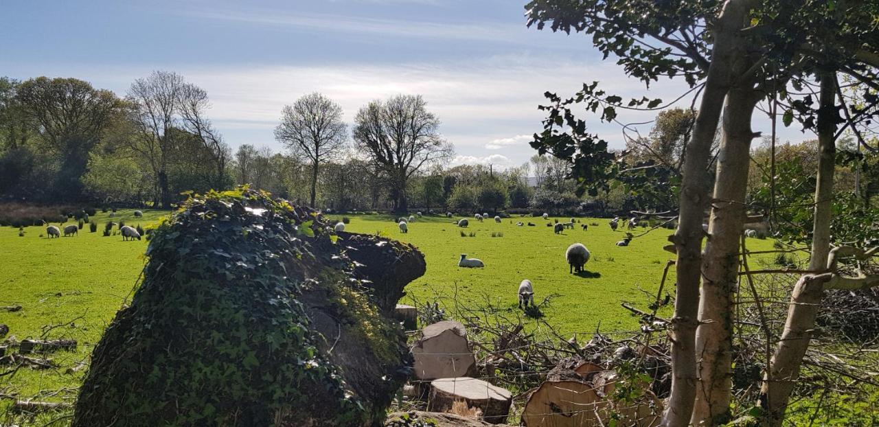 Mountain View Bed & Breakfast, Kenmare, Co. Kerry, Ireland 外观 照片